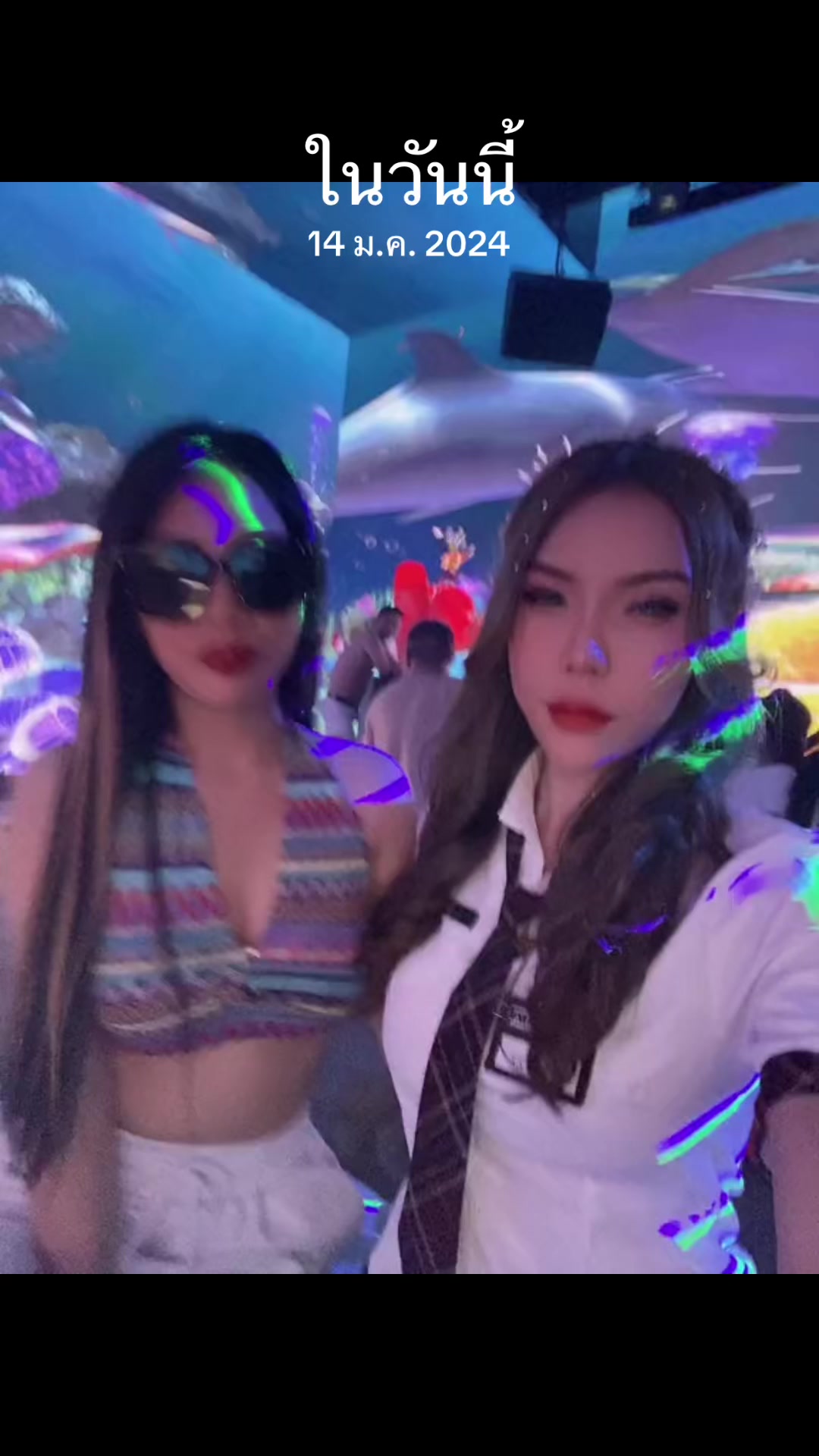 @meilin