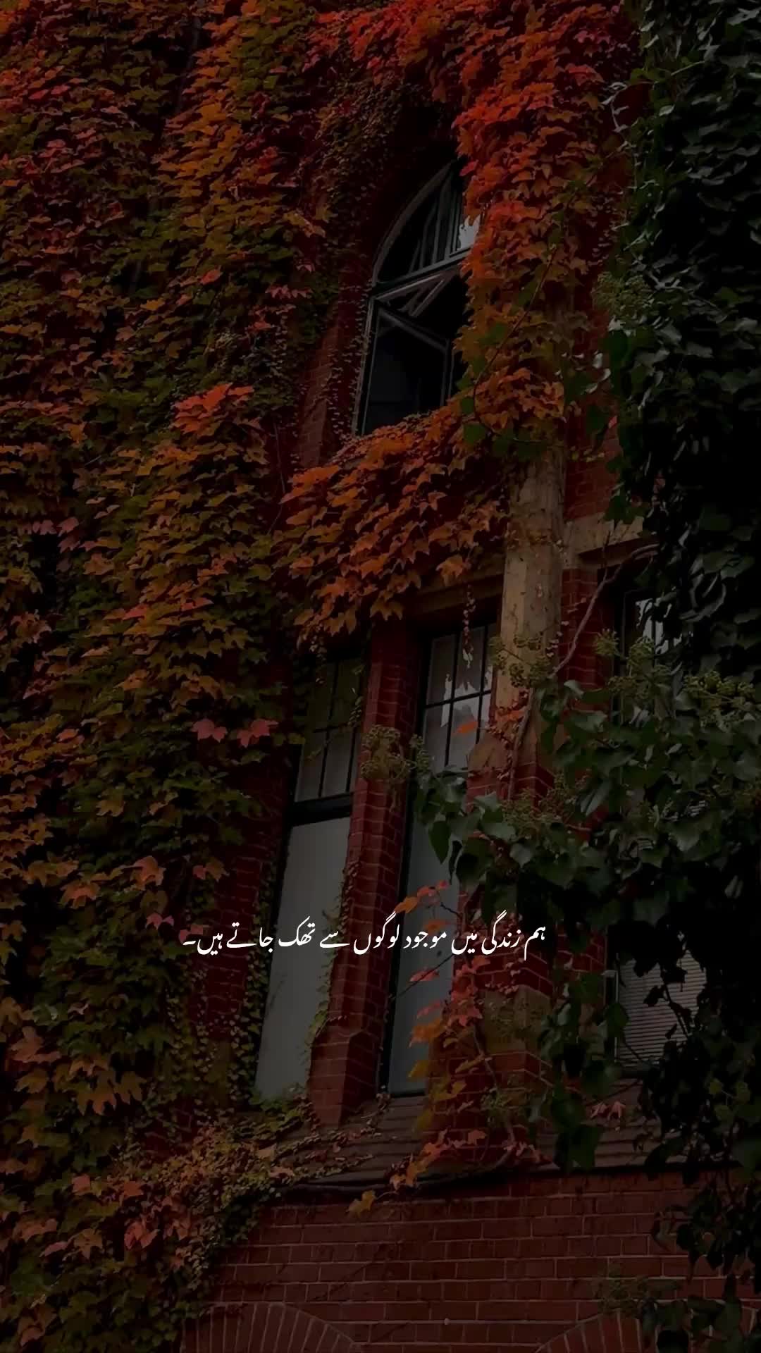 @๐๐๐๐