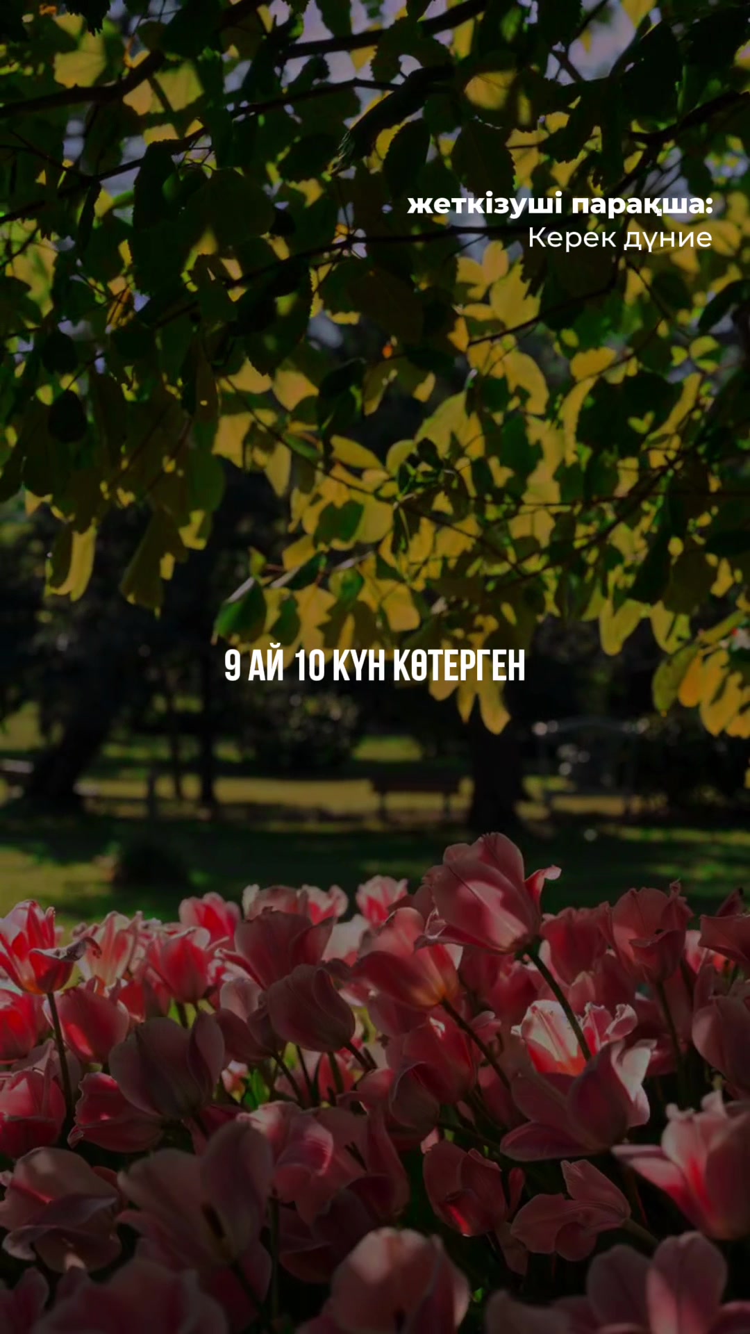 @𝗞𝗘𝗥𝗘𝗞 𝗗𝗨𝗡𝗜𝗘✅