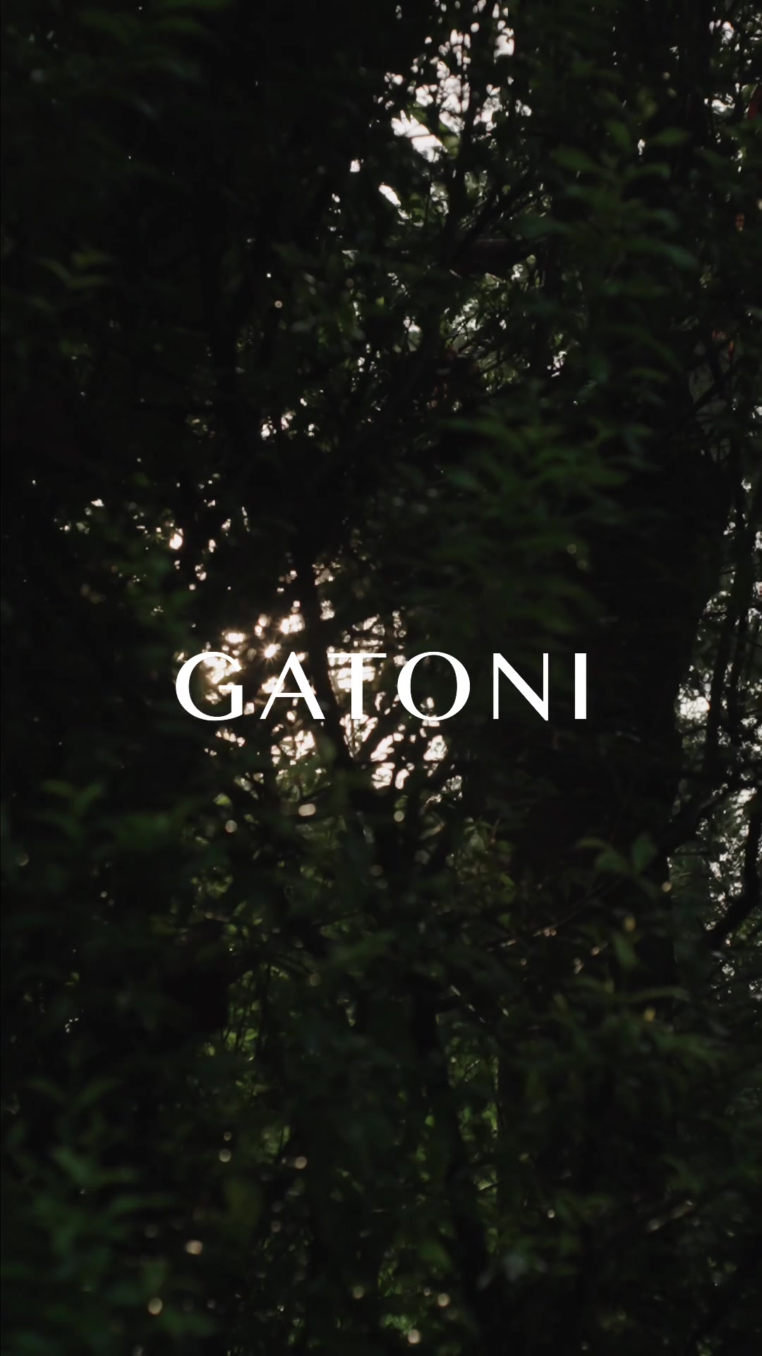@GATONI