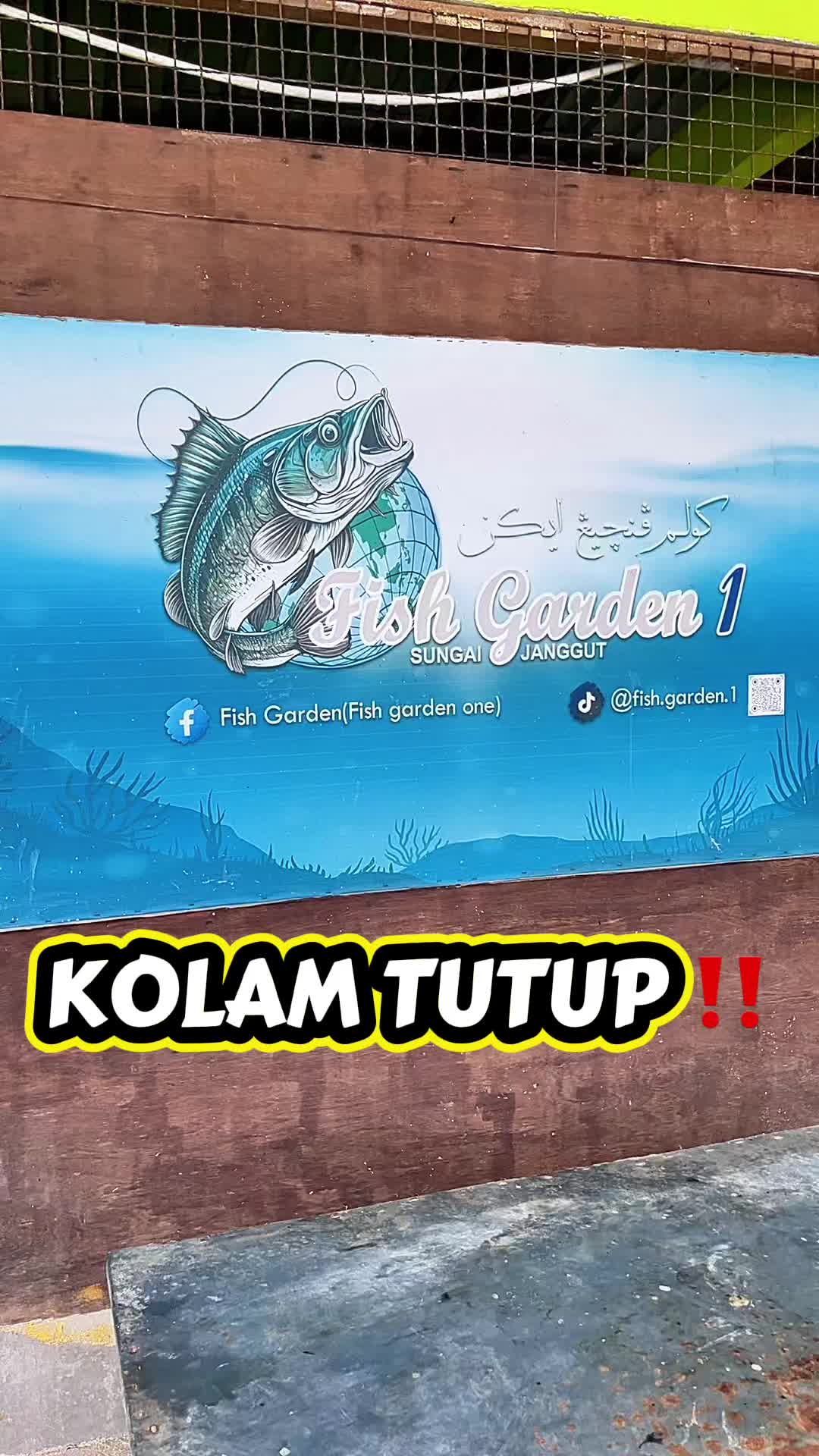 @M Z Reel 🎣