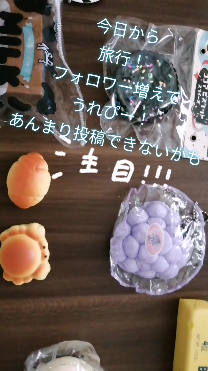 @モンチッチ大好き星人