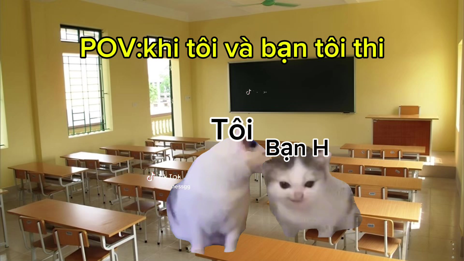 @Mewmeme