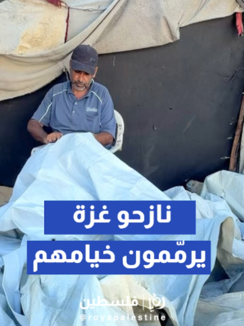 @Royapalestine رؤيا فلسطين