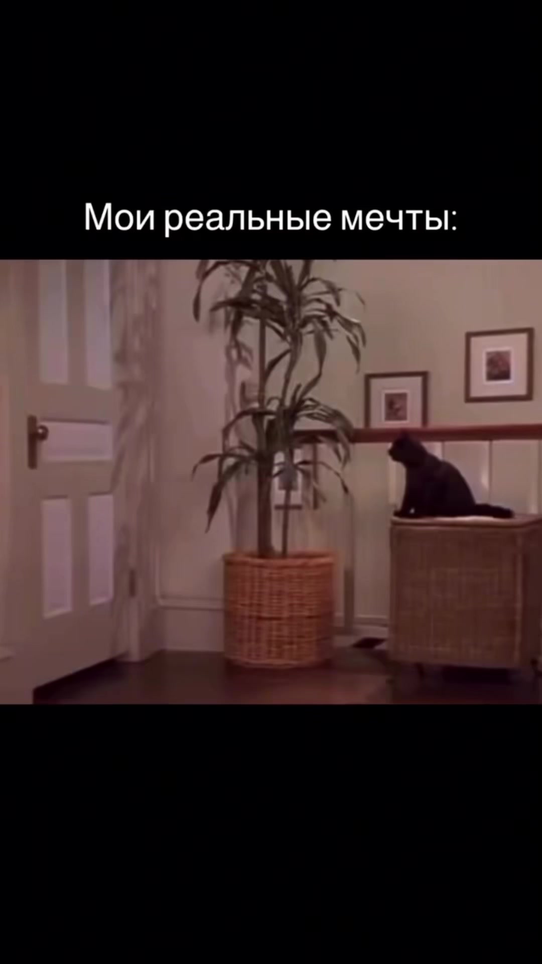@𝓁𝑒𝓇𝓀𝒶𝒶