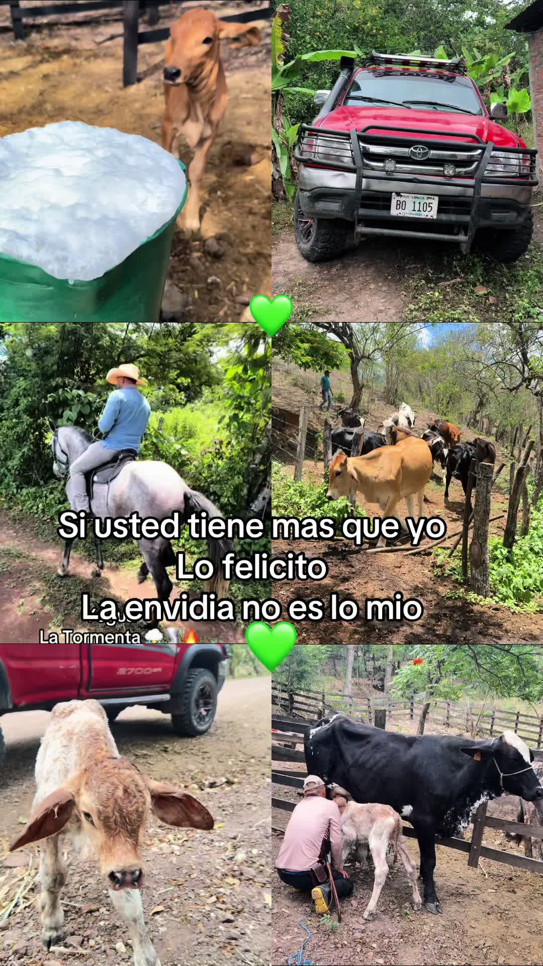 @GYLBER ESPINOZA🇳🇮🇺🇸
