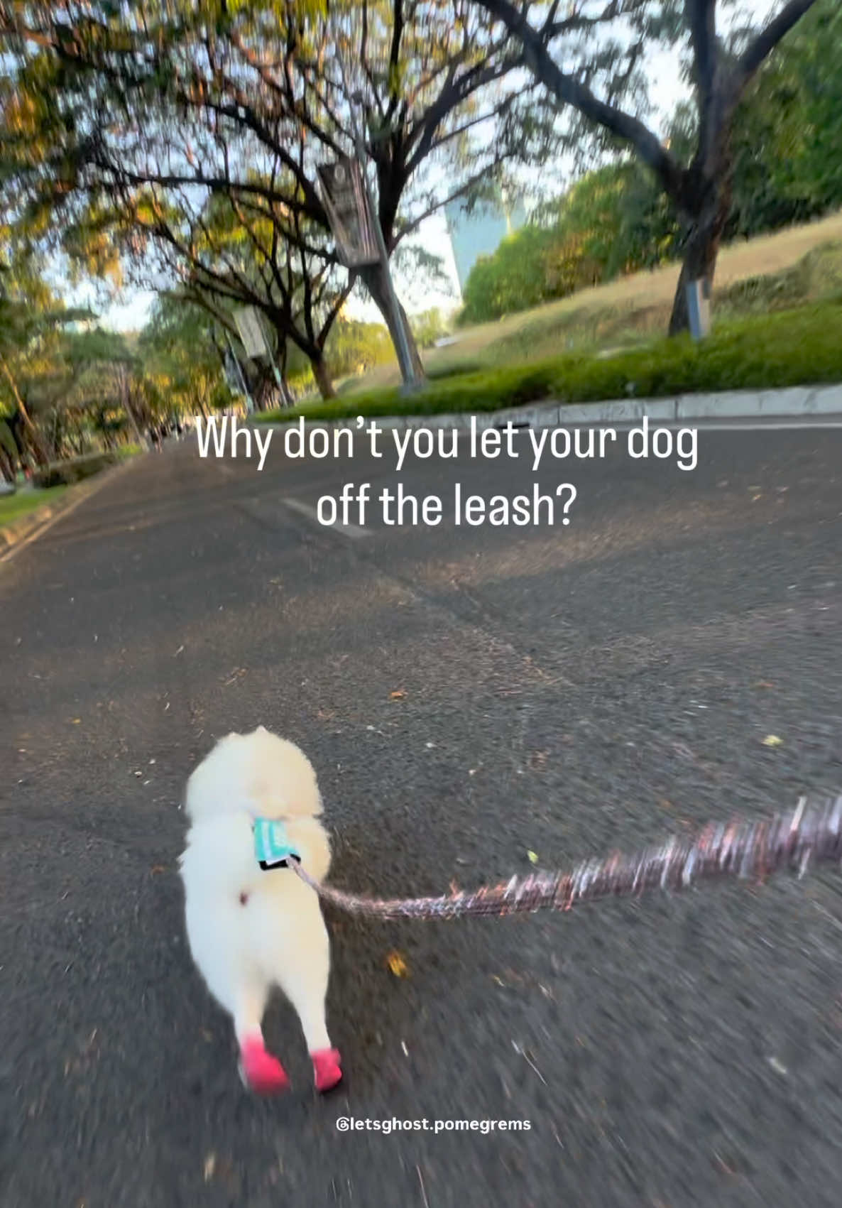@G H O S T TheRunnerPom