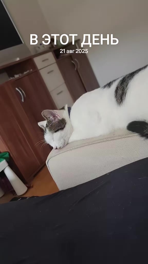 @😛Катюша😛