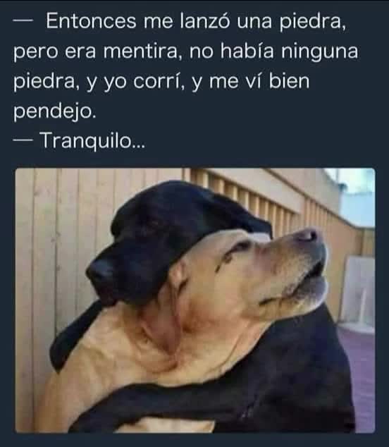 @vikiper