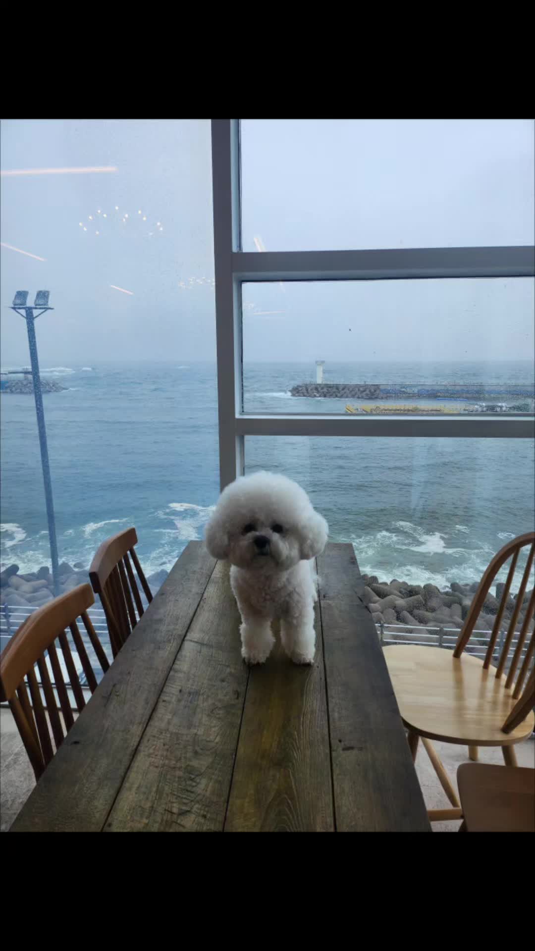 @다산엄마