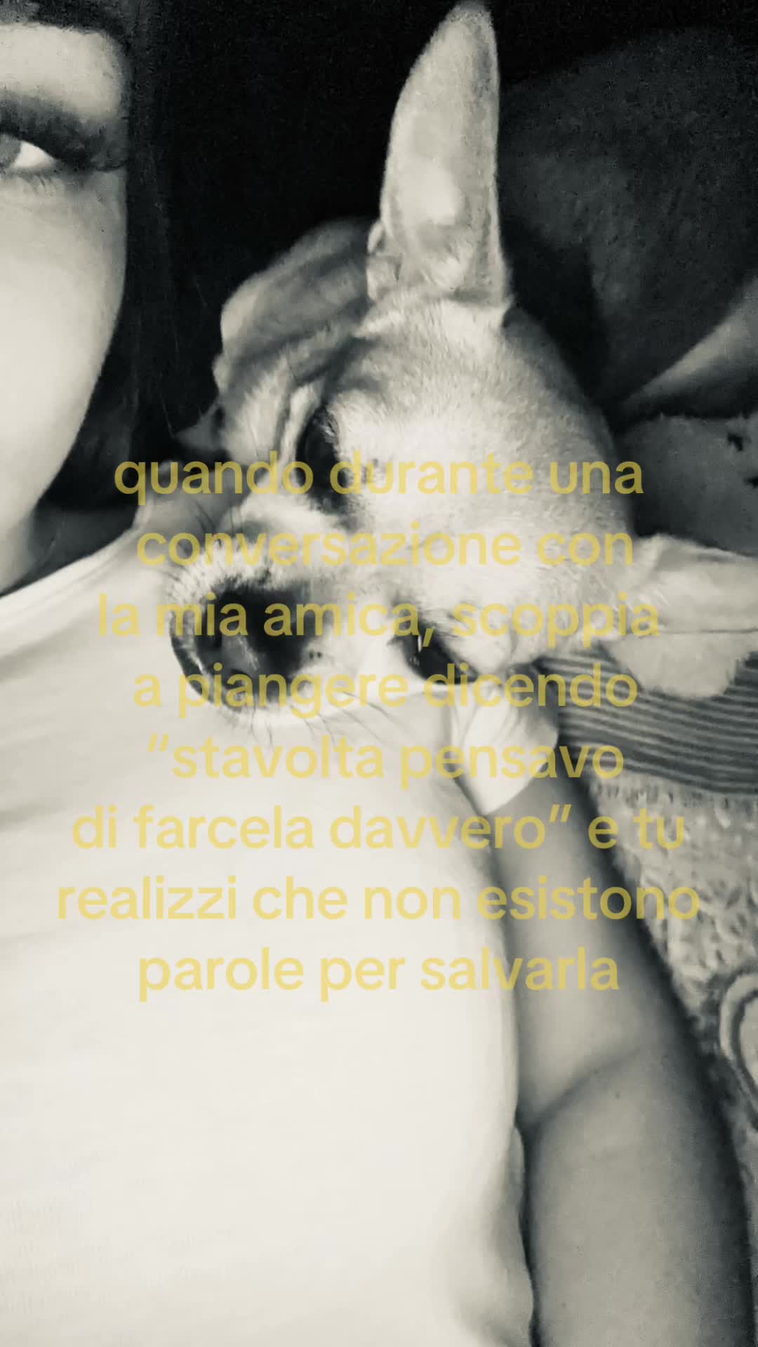@valentinaa.toccii