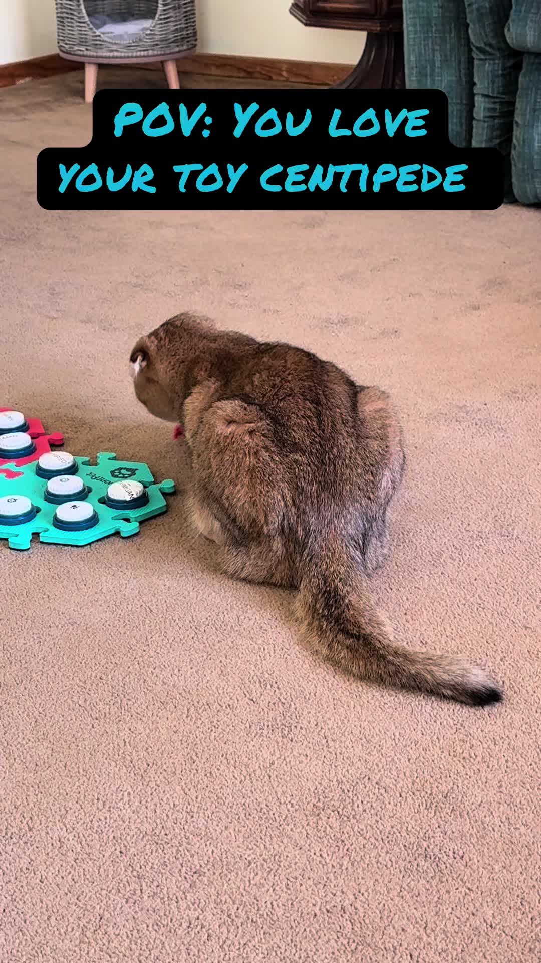 @Puffindoestricks