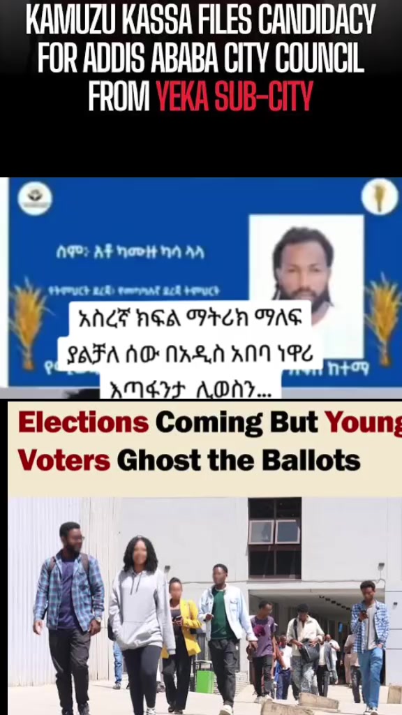 @Addis Insight 💎
