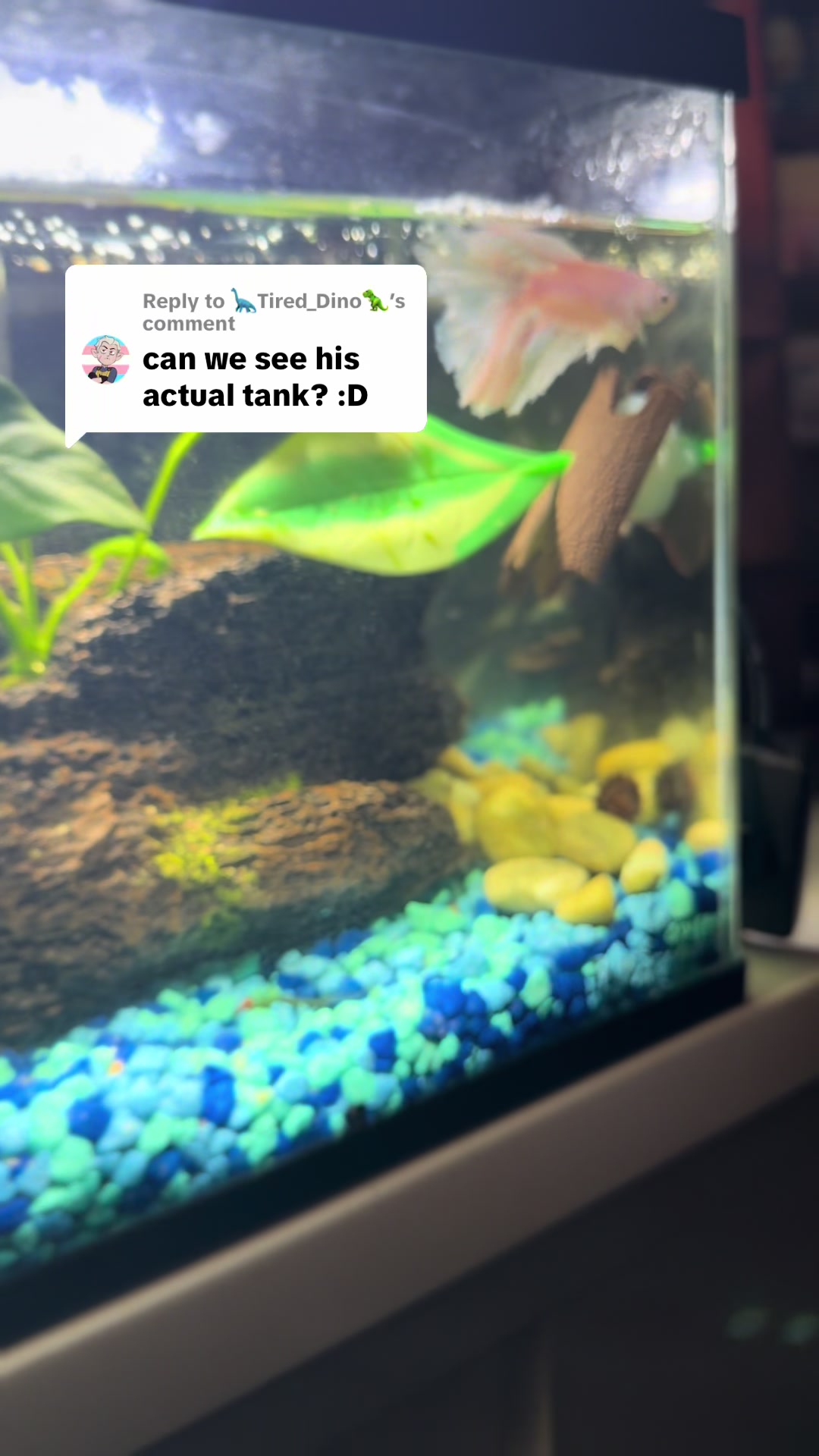 @Tishell-MomOfBoys