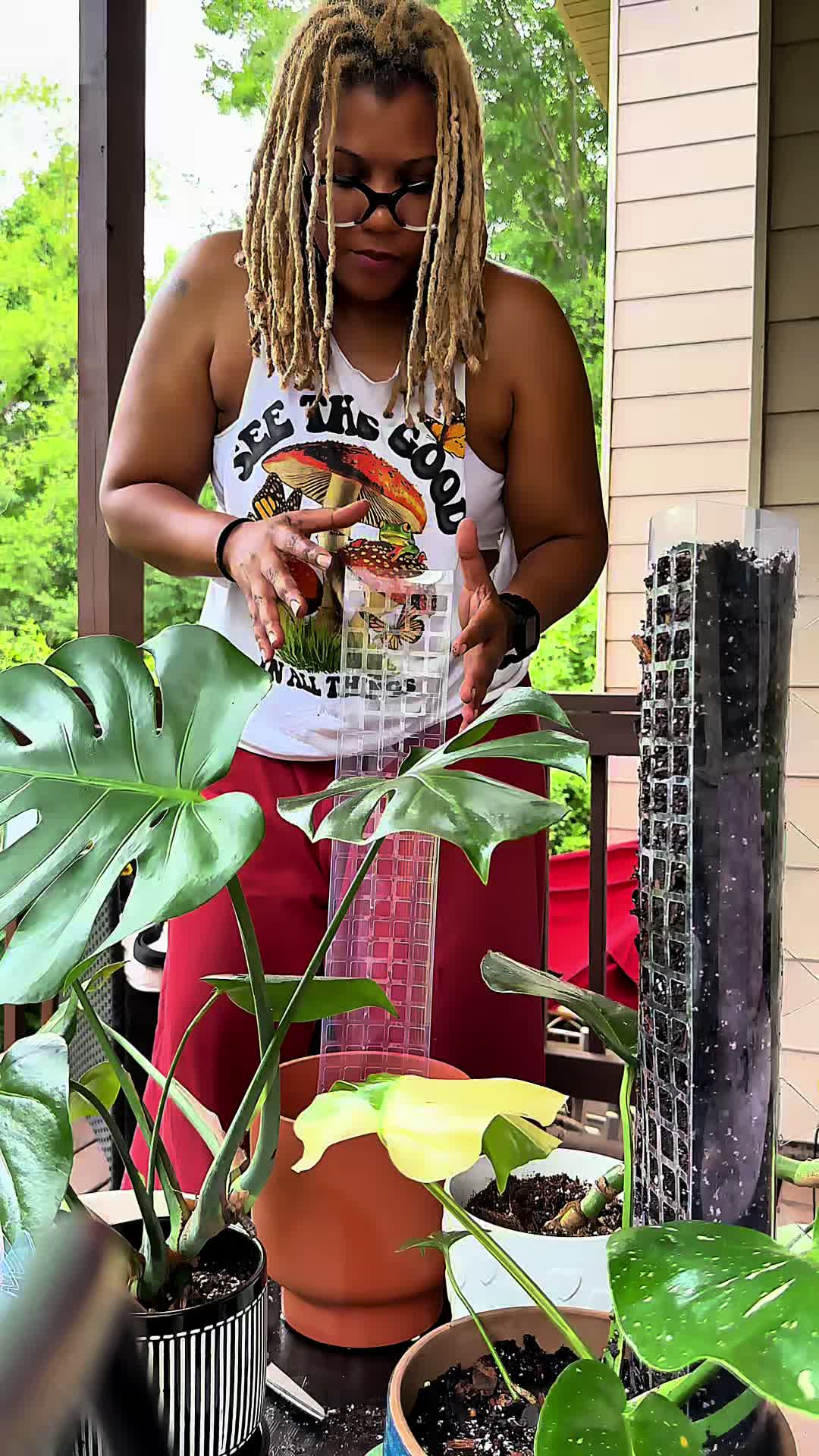 @sunnyonthescene