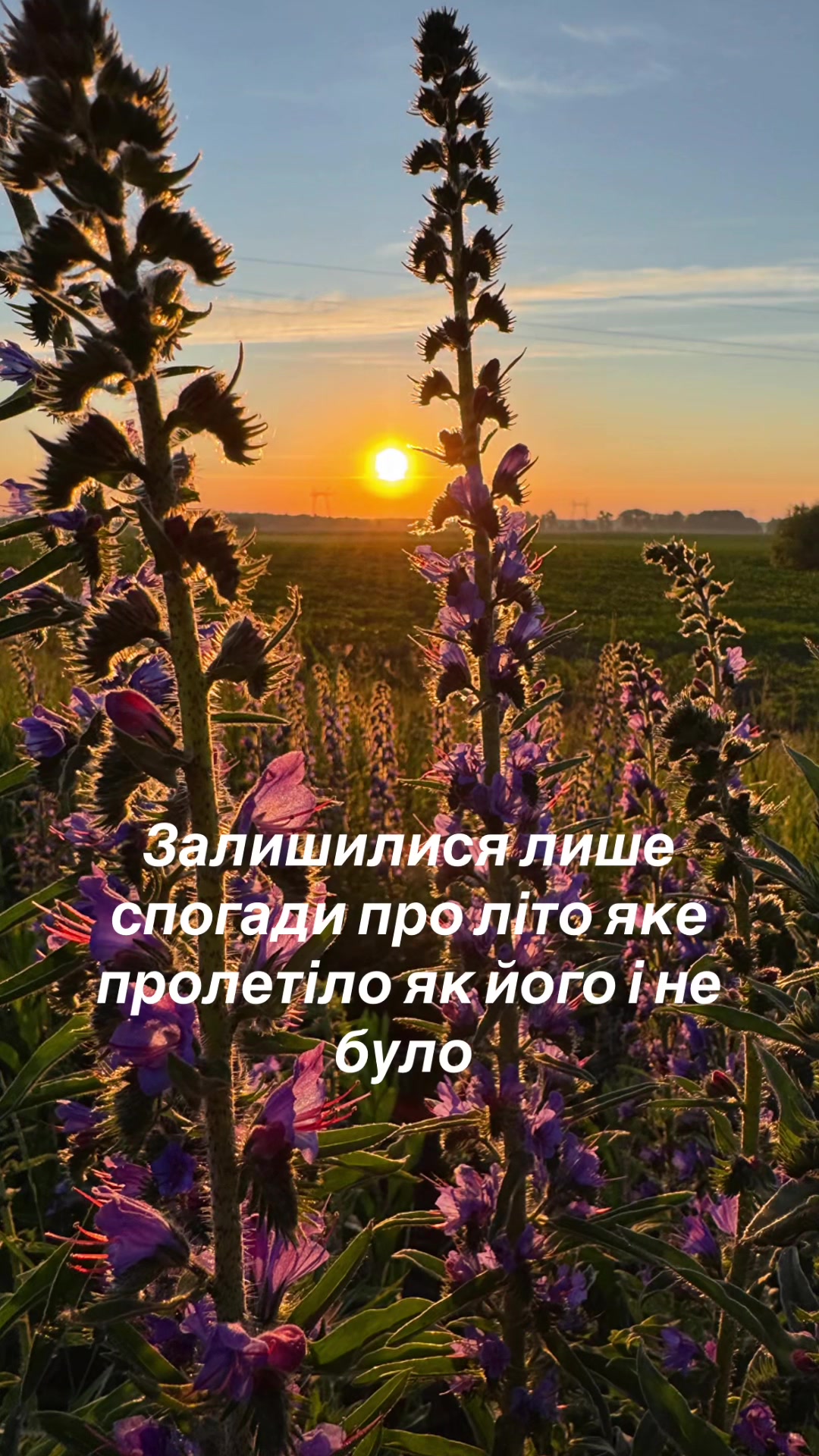 @Sasha🇺🇦John Deere🇺🇦🚜🌾🌽