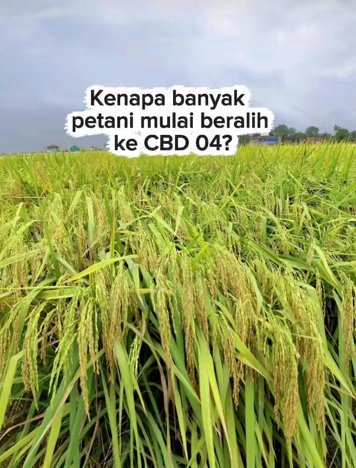 @PT. BHD INDONESIA