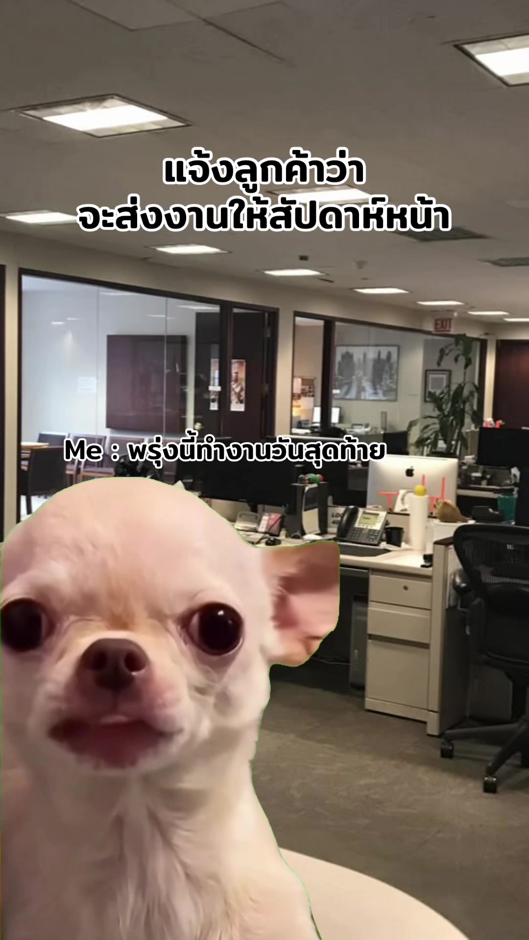 @ฮิปโปตด