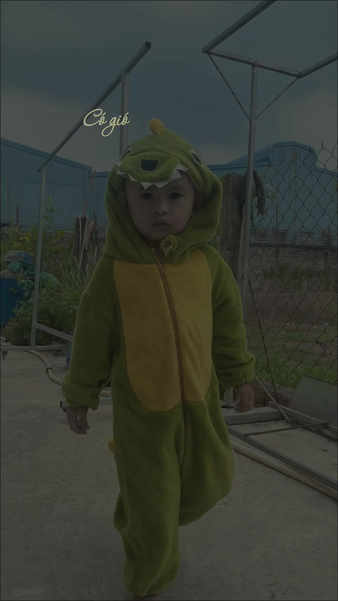 @Phúc Hậu