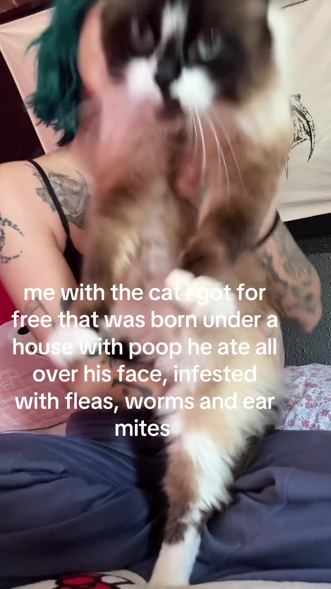 @1 ⌖