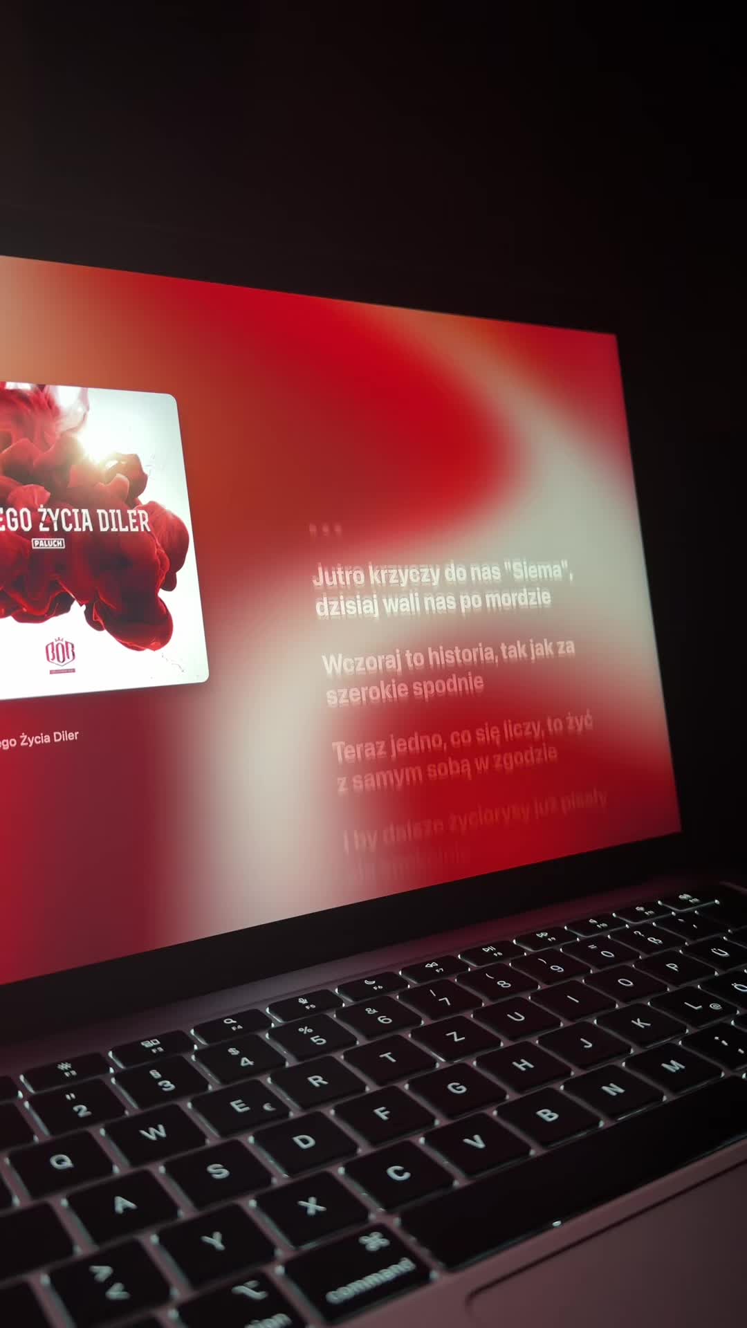 @polisch vibesongs