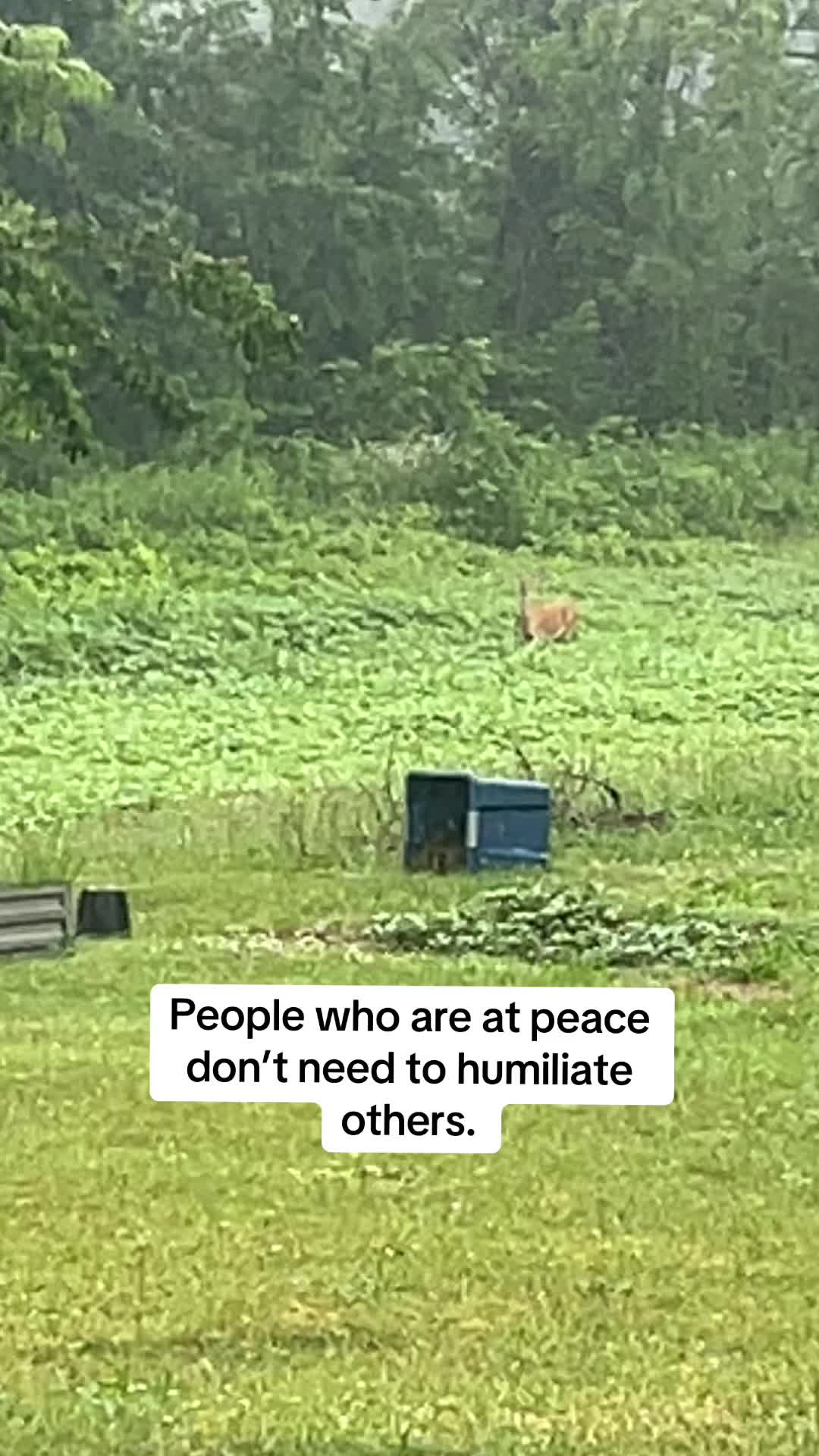 @Reese
