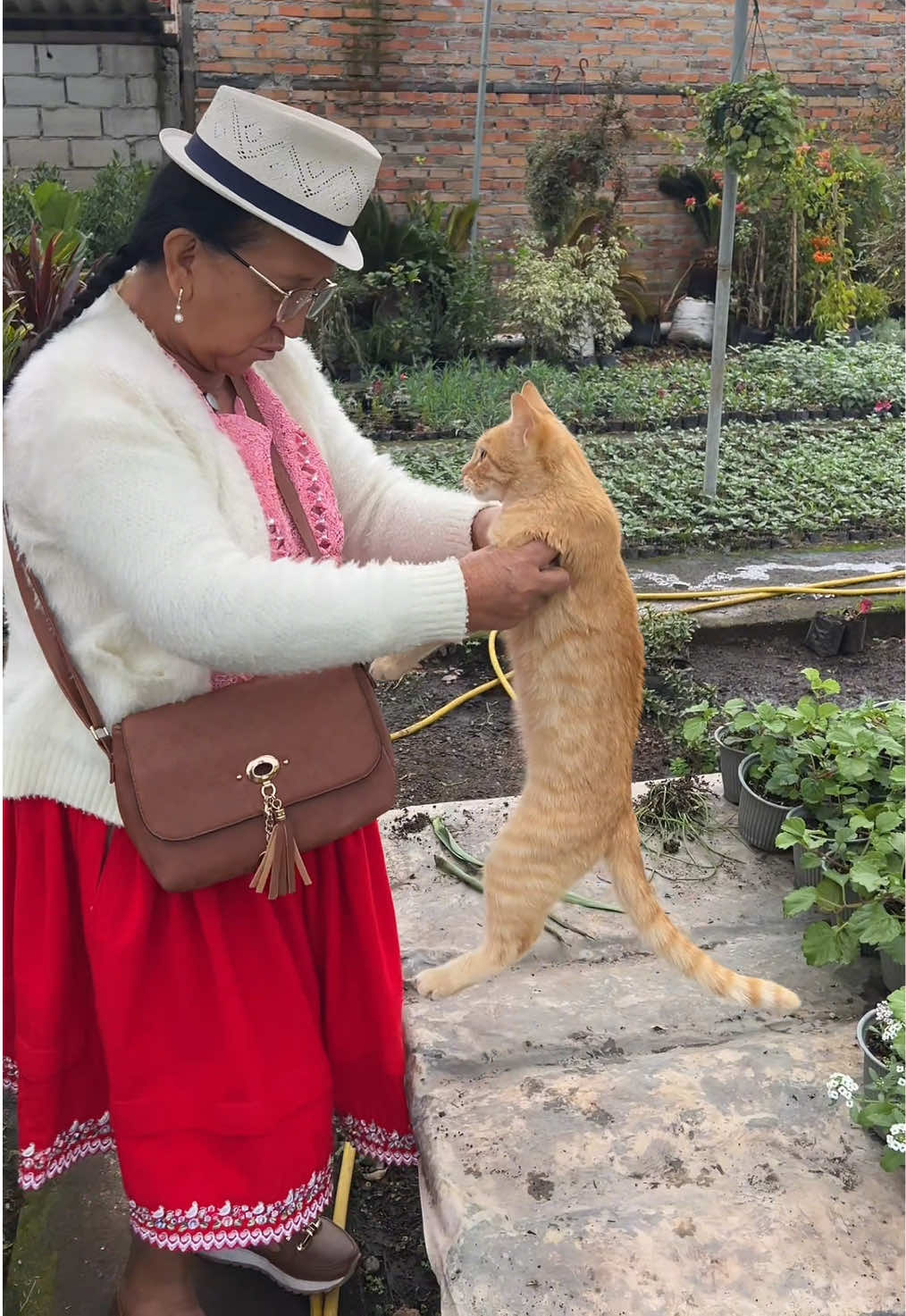 @María Castro
