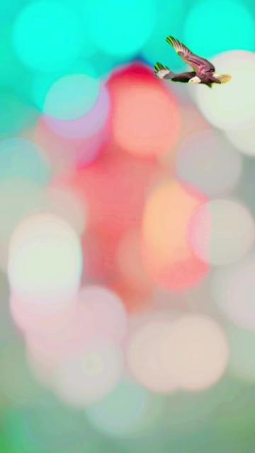 @Nσσɾ Sαყყҽԃ