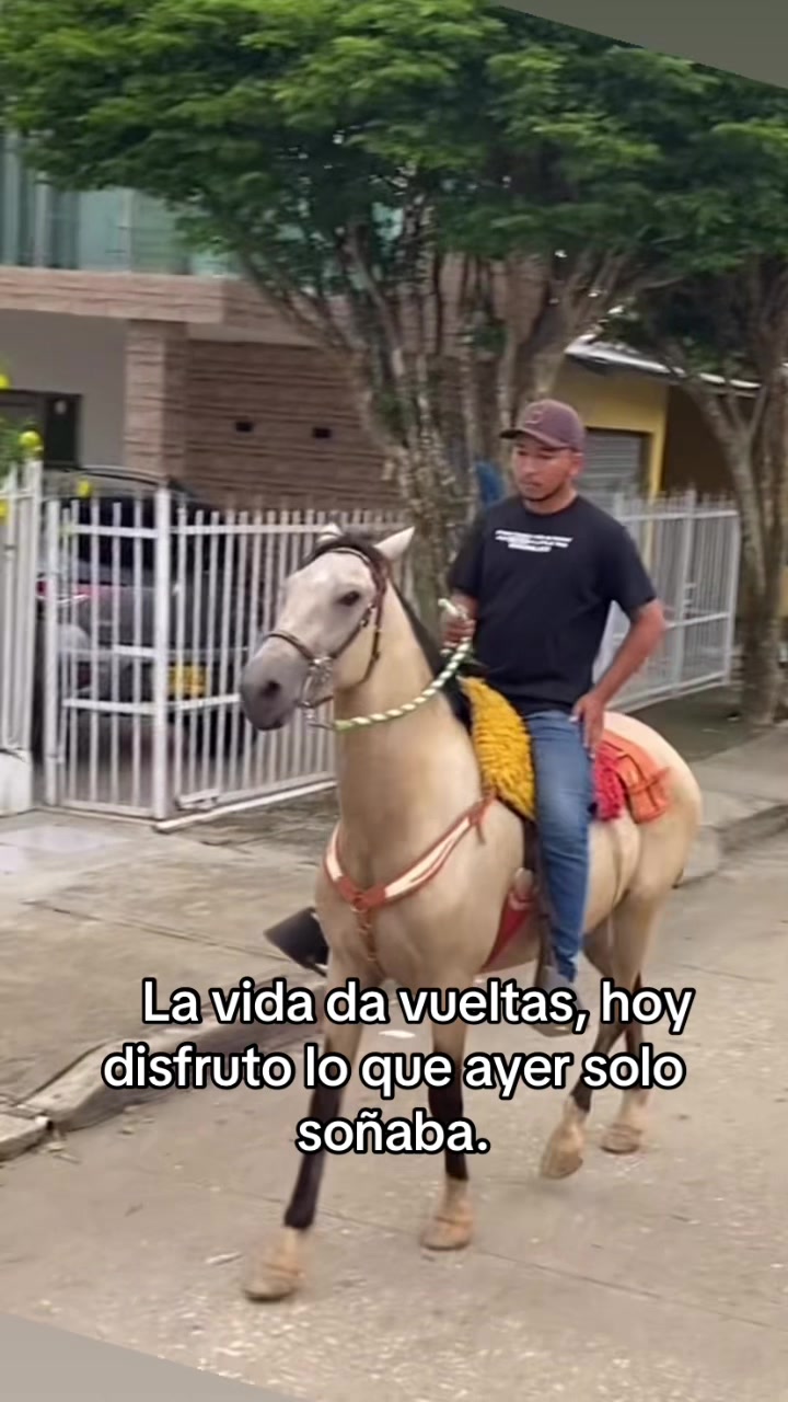 @jjulianbello