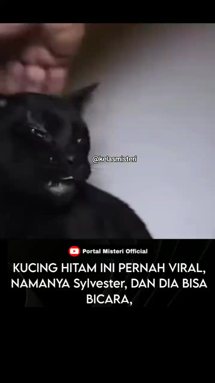 @kelasmisteri