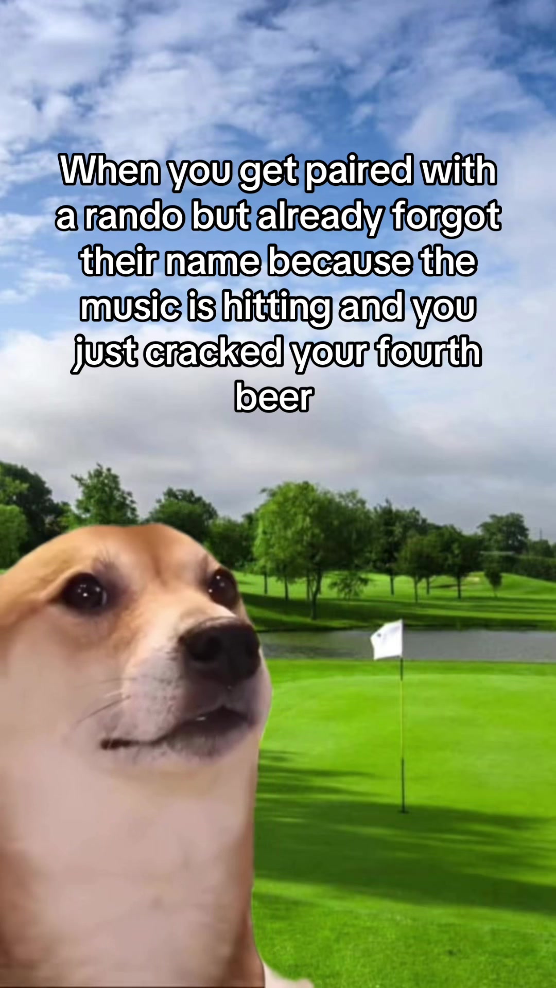 @Bogey Network
