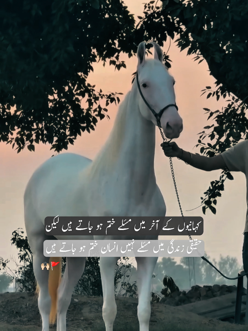 @𓆩𝐅𝐱𝐢𝐳𝐢𓆪