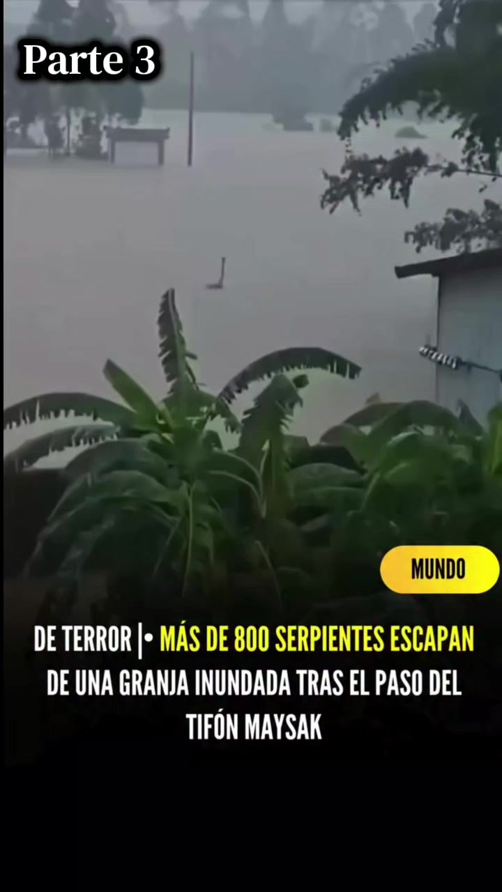 @Hermano en Cristo