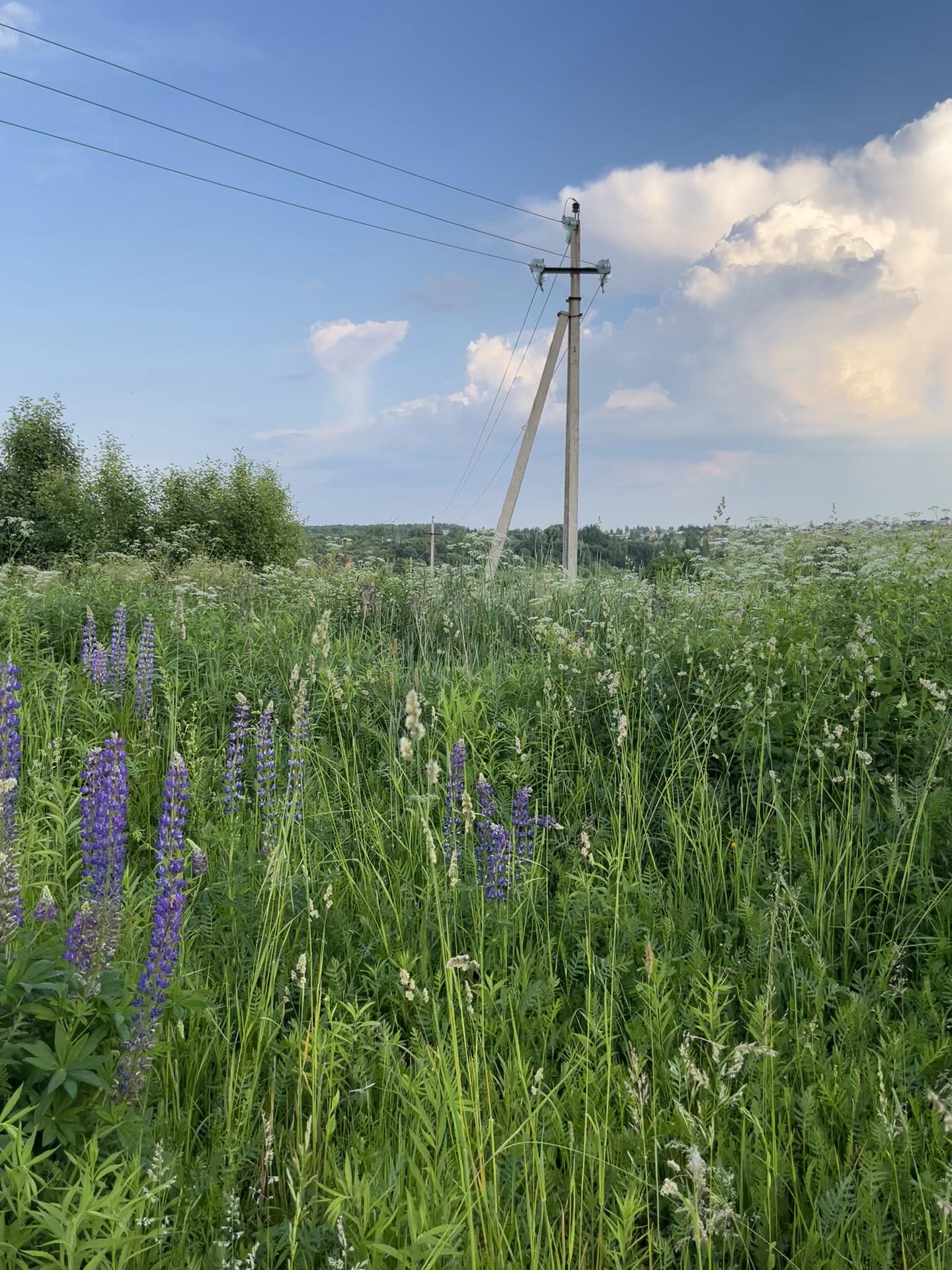 @влюбленные в природу