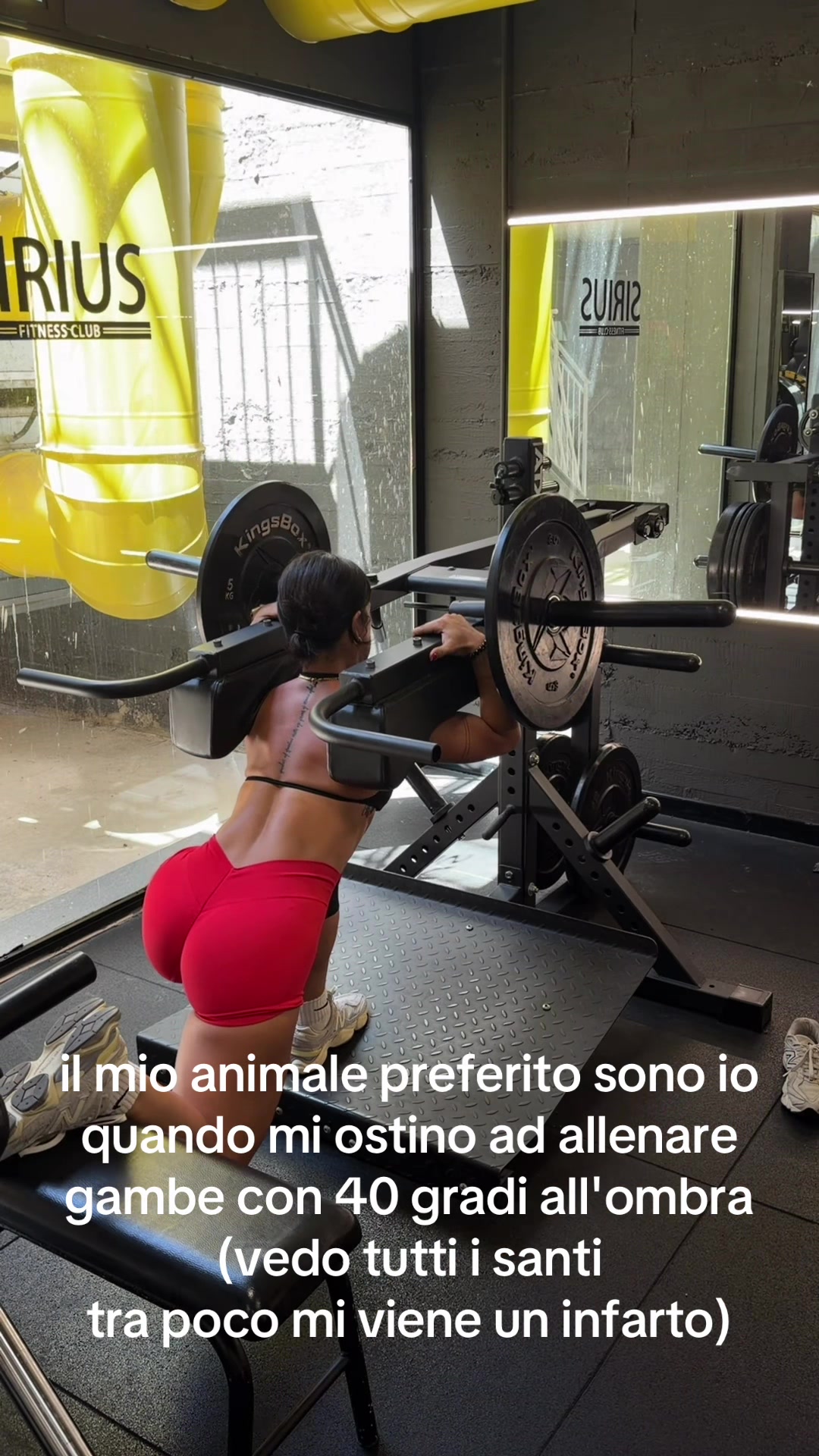 @Giulia Giacalone🐆