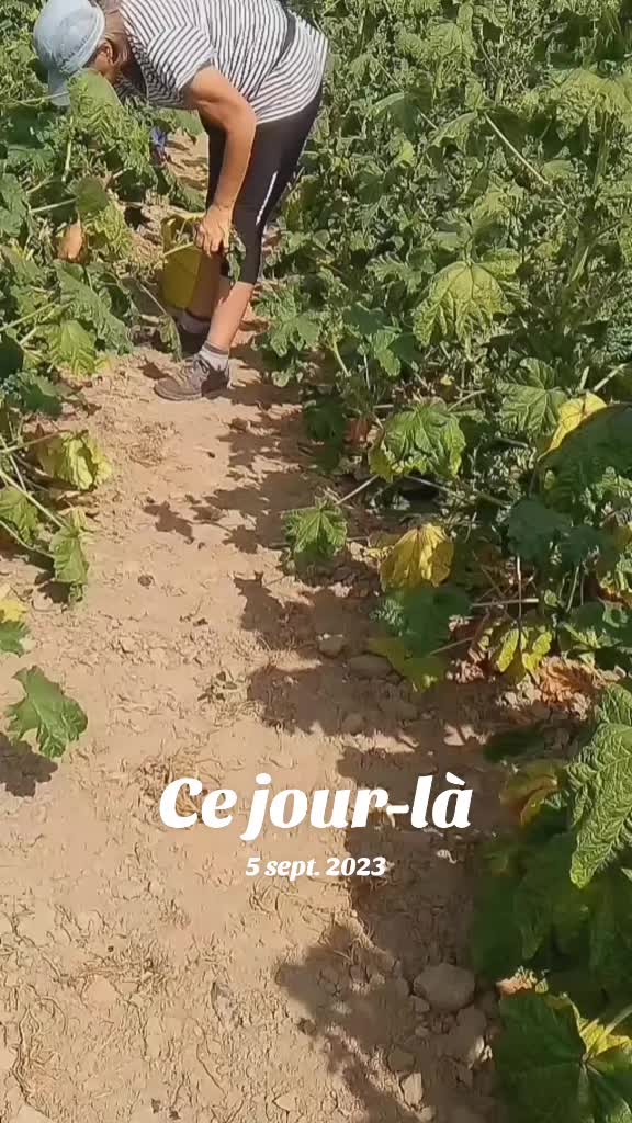 @A&iuml;ko