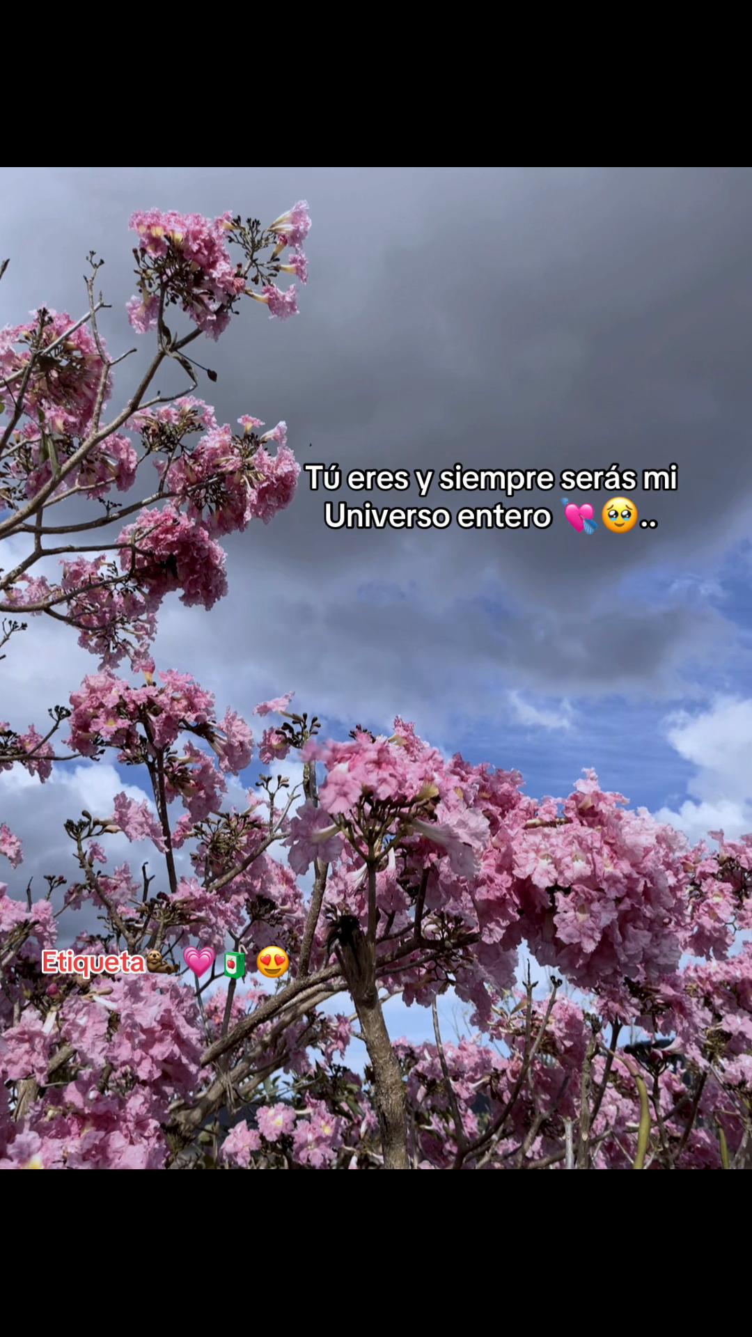 @F𝕖L&Iacute;X>🦦🧃🫂☘️