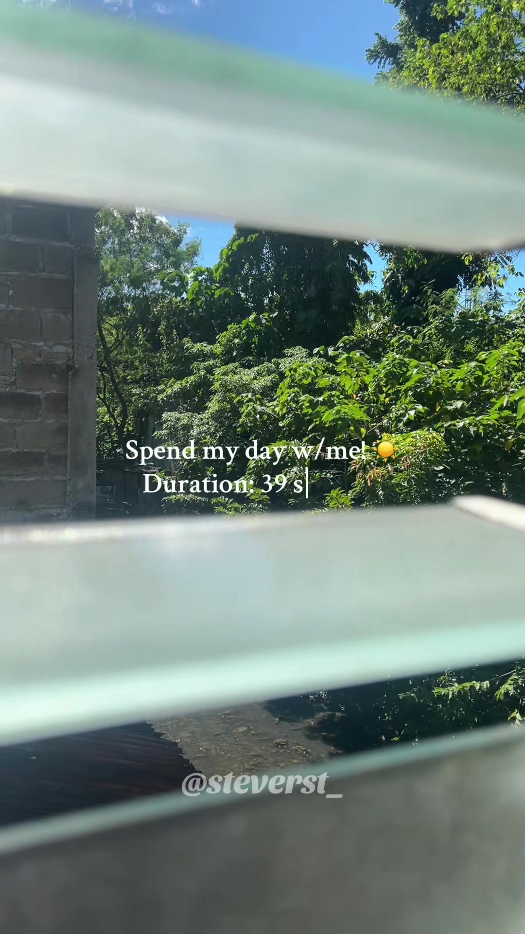 @🦢