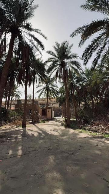 @Hussein Alaa