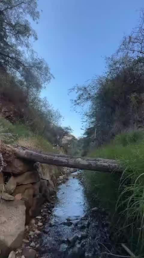 @Cómo el Rocío 🧿💊🧣