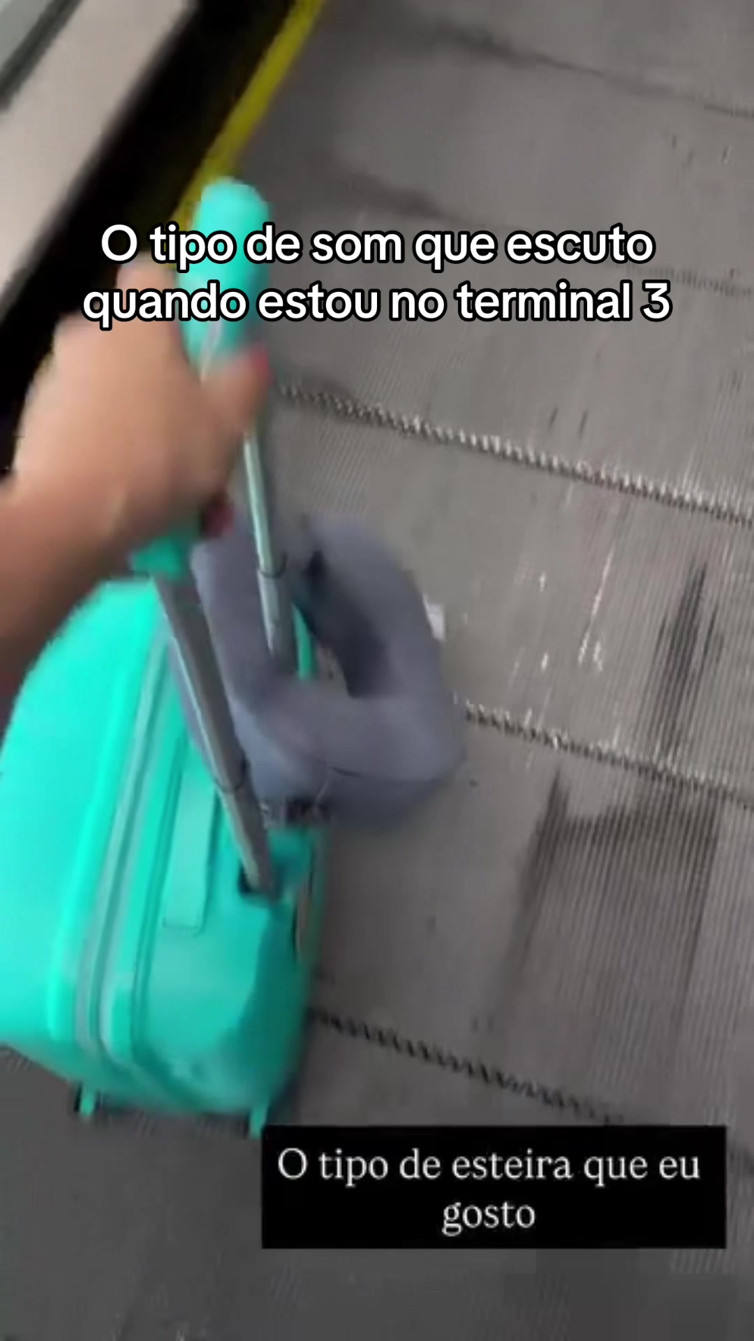 @Camila Petzold