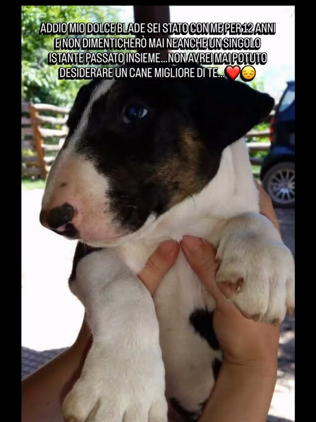 @simoncinomentemalata