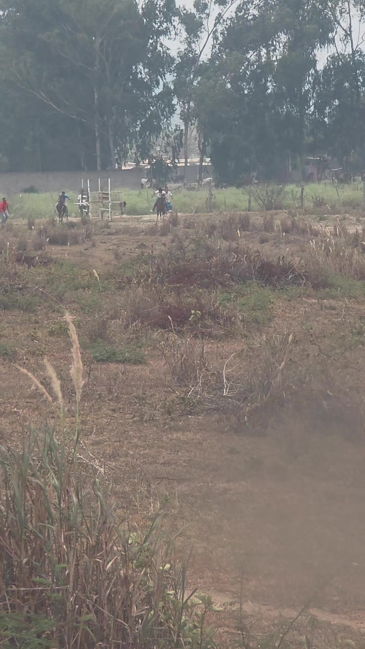 @Jose carlos sierra 😎