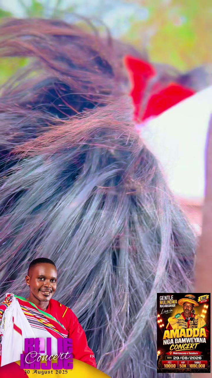 @busabalamukisaawe