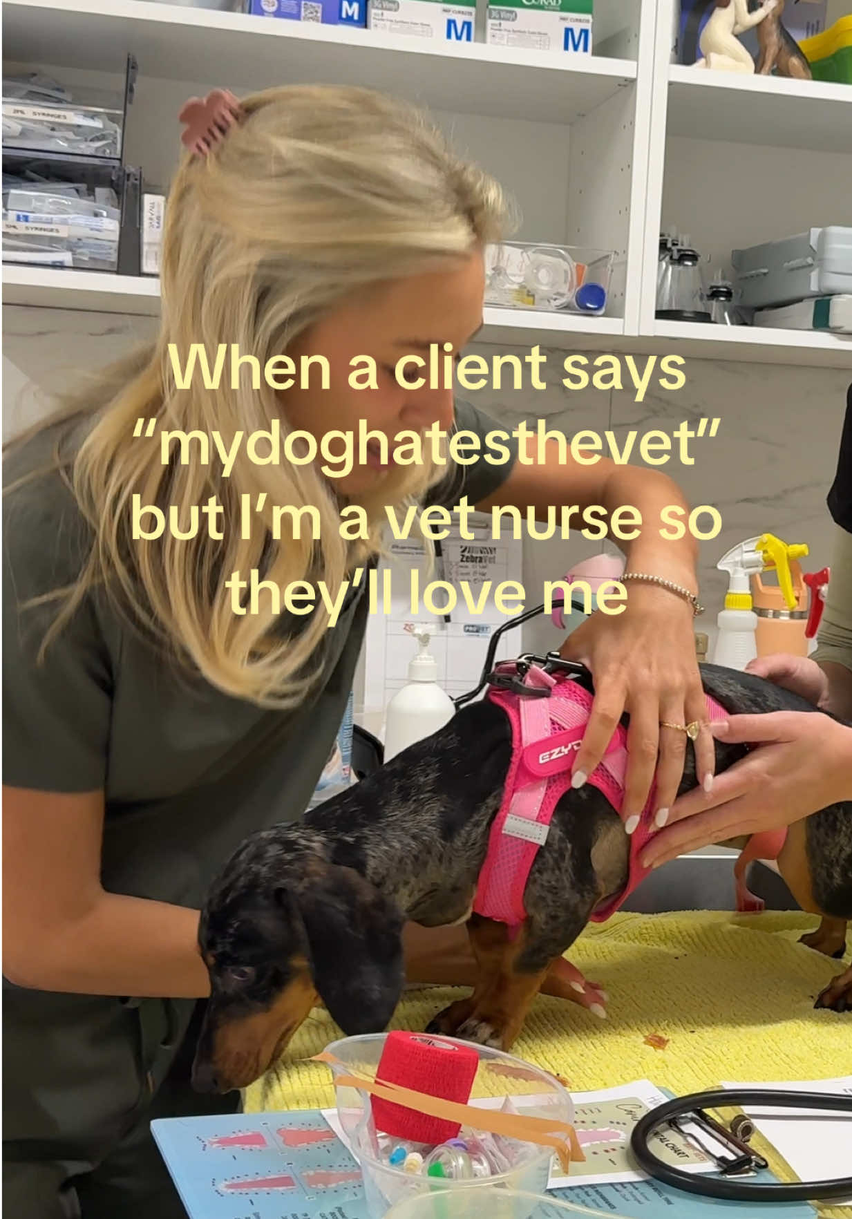 @Tess the Vet Nurse