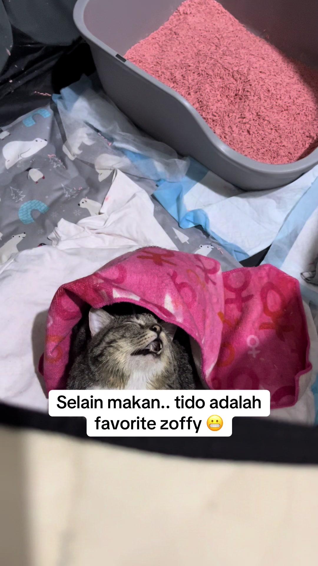 @gengbulus