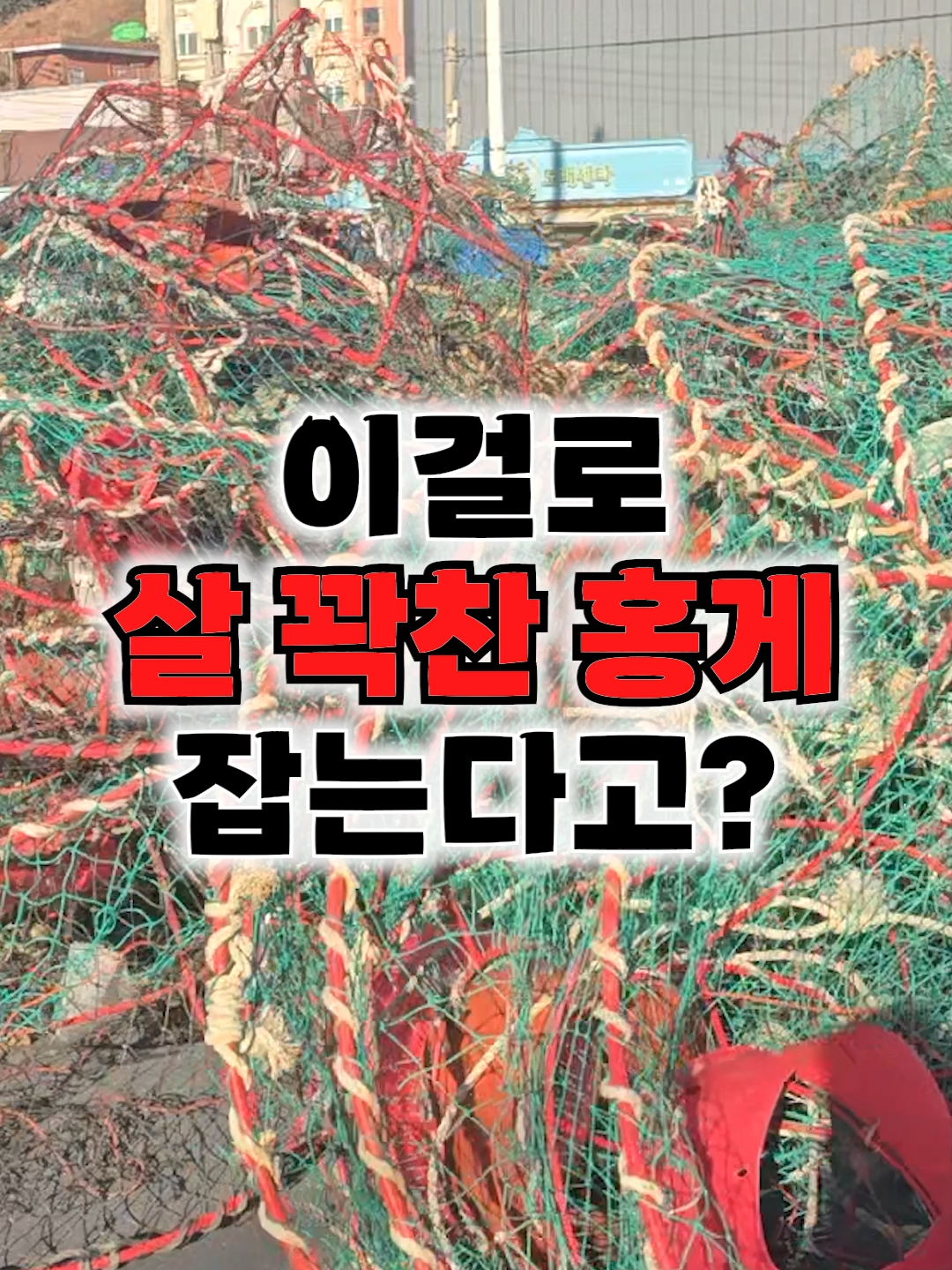 @싱싱헌터스