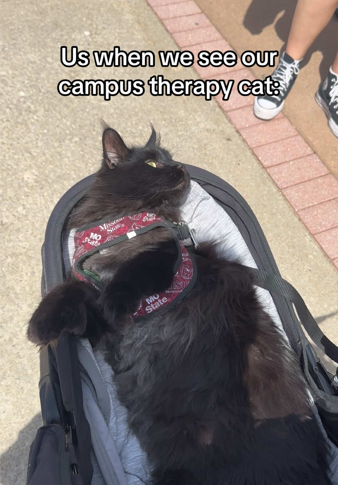 @Missouri State