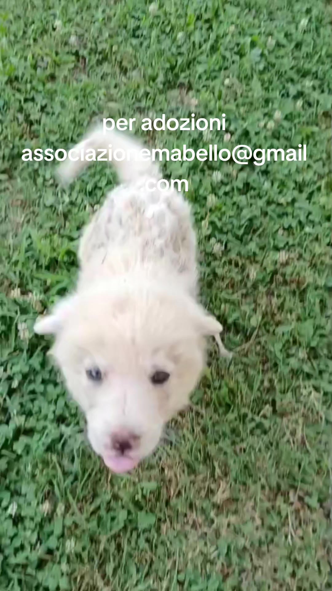 @Io e la mia karmela 🥰