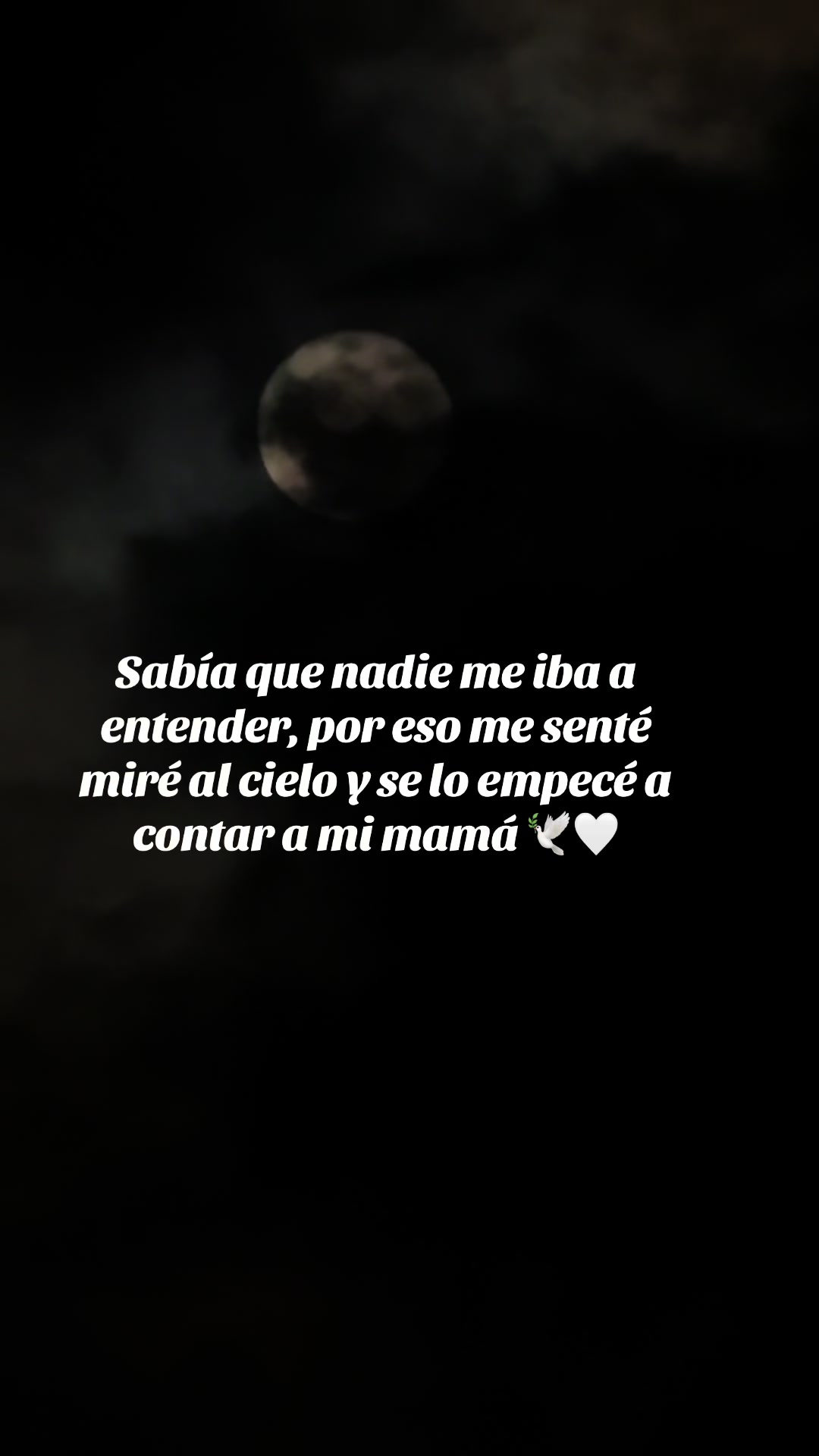 @Melissa Andrade